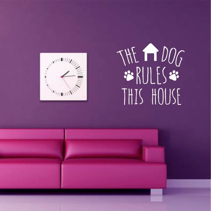 The dog rules this house A0667