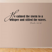 He calmed the storm... A0191