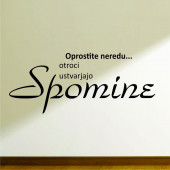 Oprostite neredu ...