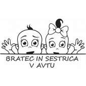 Nalepka Bratec in sestrica v avtu T0162