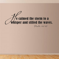 He calmed the storm... A0191