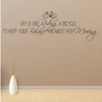 Life is like riding a bicycle A0683
