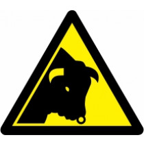 Znak Pozor! Nevaren bik