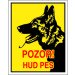 Pozor! Hud pes